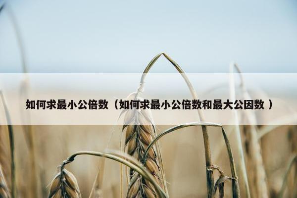 如何求最小公倍数（如何求最小公倍数和最大公因数 ）