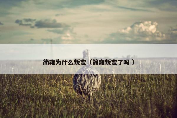 简雍为什么叛变（简雍叛变了吗 ）