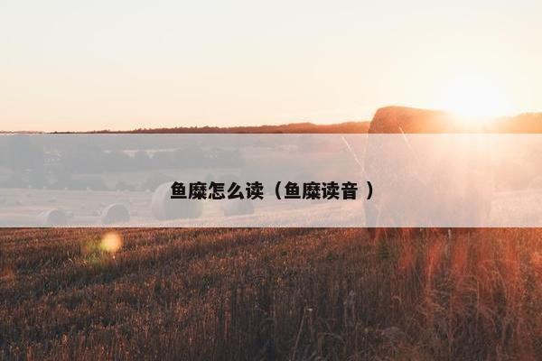 鱼糜怎么读（鱼糜读音 ）