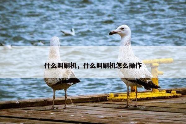 什么叫刷机，什么叫刷机怎么操作