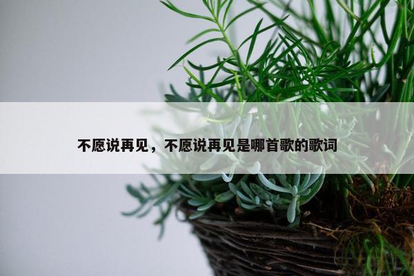 不愿说再见，不愿说再见是哪首歌的歌词