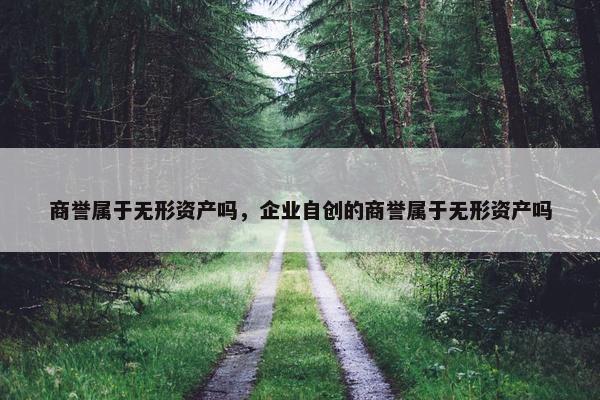 商誉属于无形资产吗，企业自创的商誉属于无形资产吗