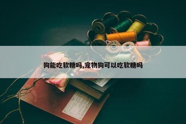 狗能吃软糖吗,宠物狗可以吃软糖吗