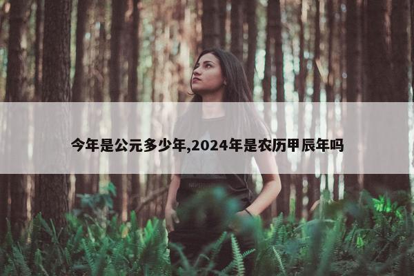 今年是公元多少年,2024年是农历甲辰年吗