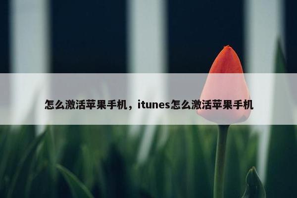 怎么激活苹果手机，itunes怎么激活苹果手机