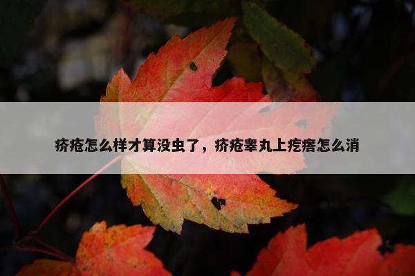 疥疮怎么样才算没虫了，疥疮睾丸上疙瘩怎么消