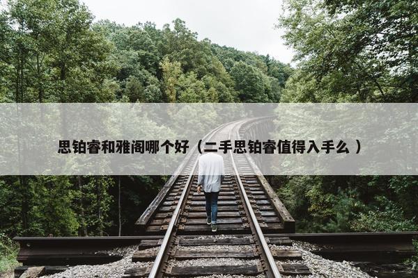 思铂睿和雅阁哪个好（二手思铂睿值得入手么 ）