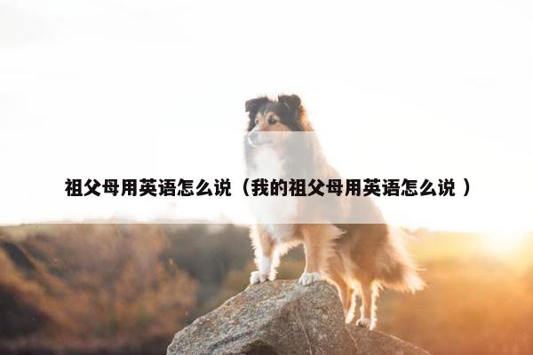 祖父母用英语怎么说（我的祖父母用英语怎么说 ）