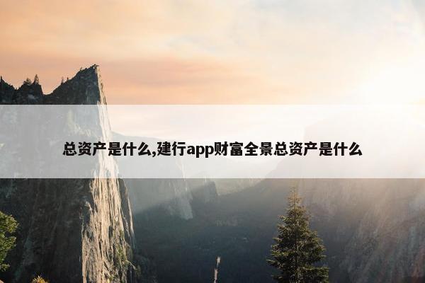 总资产是什么,建行app财富全景总资产是什么