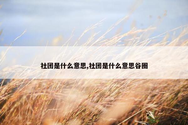 社团是什么意思,社团是什么意思谷圈