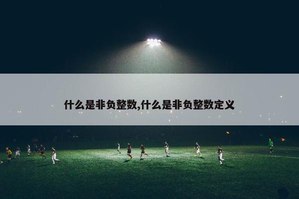 什么是非负整数,什么是非负整数定义