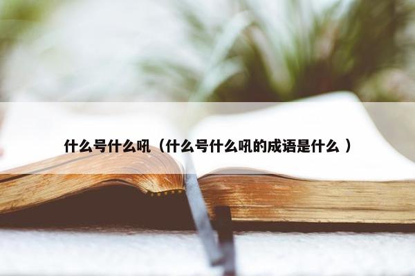 什么号什么吼（什么号什么吼的成语是什么 ）