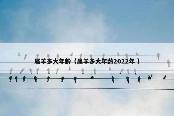 属羊多大年龄（属羊多大年龄2022年 ）