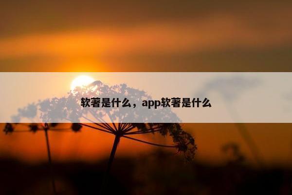 软著是什么，app软著是什么