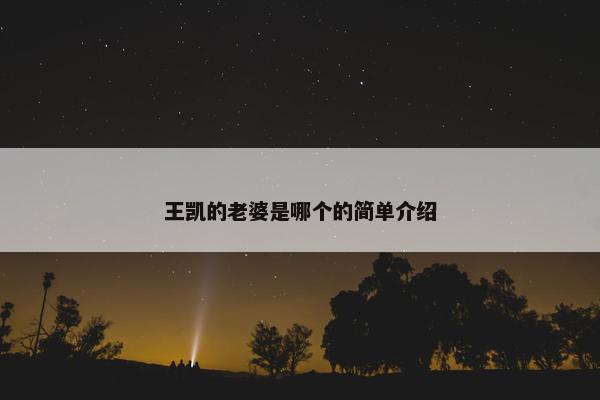 王凯的老婆是哪个的简单介绍