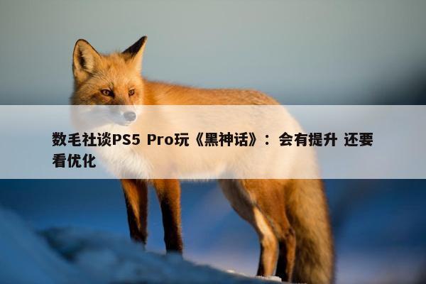 数毛社谈PS5 Pro玩《黑神话》：会有提升 还要看优化