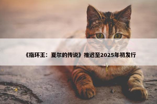 《指环王：夏尔的传说》推迟至2025年初发行