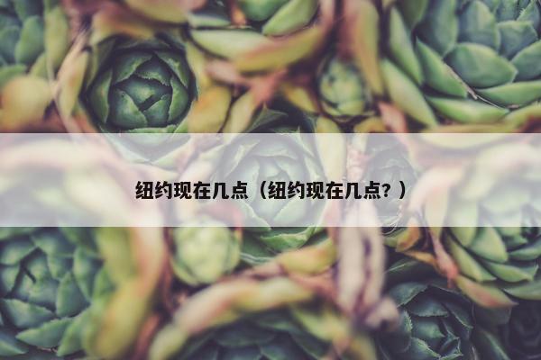 纽约现在几点（纽约现在几点? ）