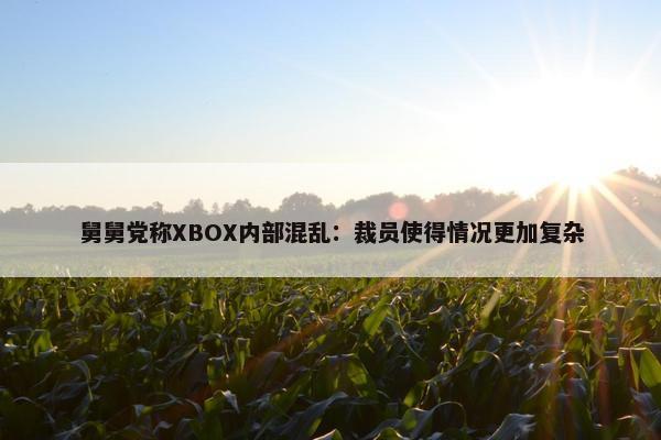 舅舅党称XBOX内部混乱：裁员使得情况更加复杂