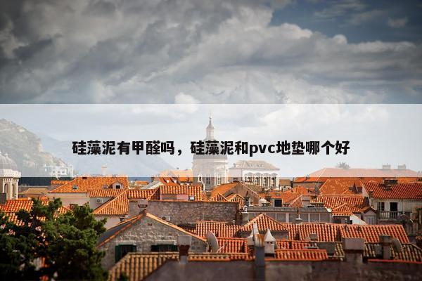 硅藻泥有甲醛吗，硅藻泥和pvc地垫哪个好