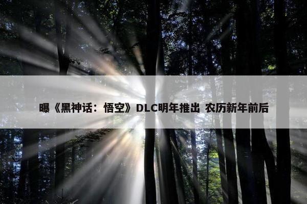 曝《黑神话：悟空》DLC明年推出 农历新年前后