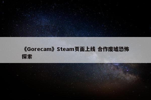 《Gorecam》Steam页面上线 合作废墟恐怖探索