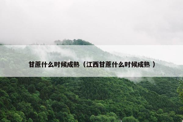 甘蔗什么时候成熟（江西甘蔗什么时候成熟 ）