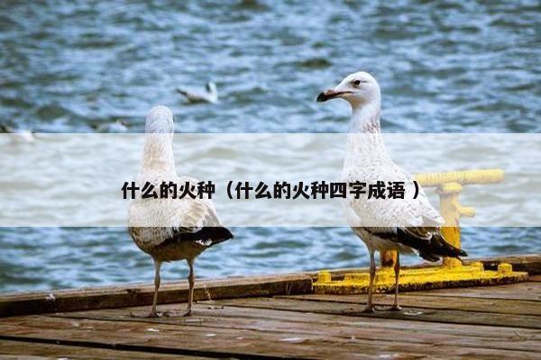 什么的火种（什么的火种四字成语 ）