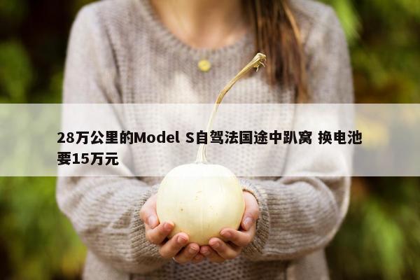 28万公里的Model S自驾法国途中趴窝 换电池要15万元