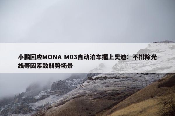 小鹏回应MONA M03自动泊车撞上奥迪：不排除光线等因素致弱势场景