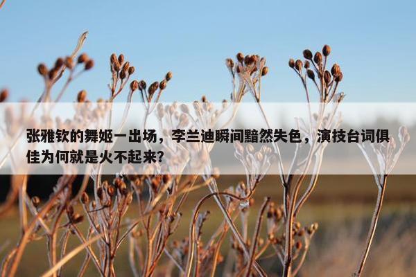 张雅钦的舞姬一出场，李兰迪瞬间黯然失色，演技台词俱佳为何就是火不起来？