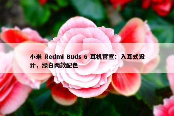 小米 Redmi Buds 6 耳机官宣：入耳式设计，绿白两款配色