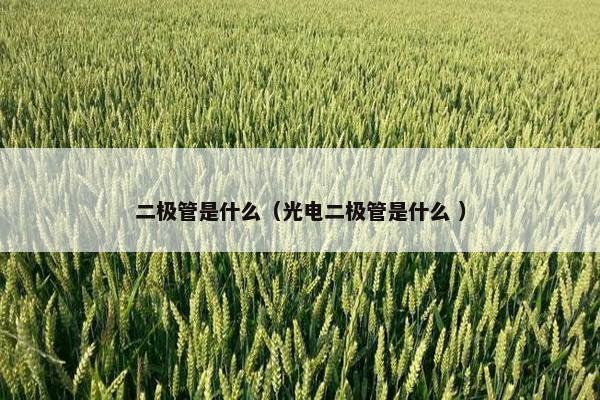 二极管是什么（光电二极管是什么 ）