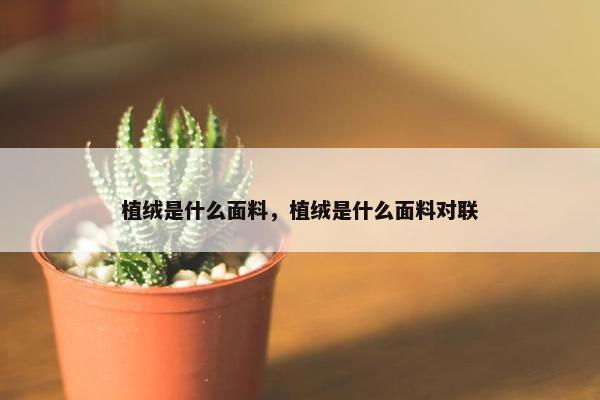 植绒是什么面料，植绒是什么面料对联