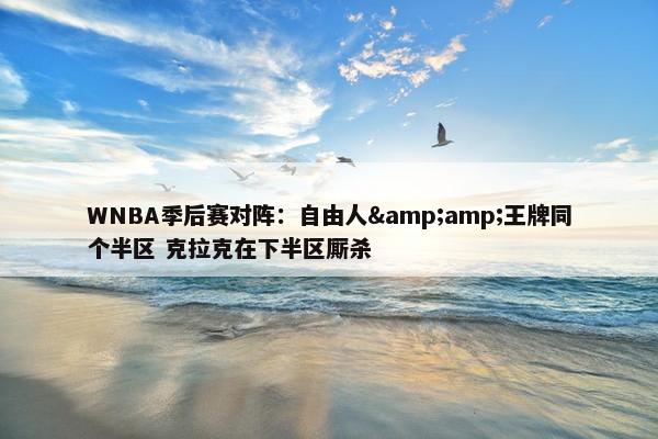 WNBA季后赛对阵：自由人&amp;王牌同个半区 克拉克在下半区厮杀