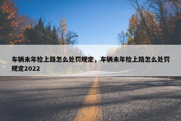 车辆未年检上路怎么处罚规定，车辆未年检上路怎么处罚规定2022