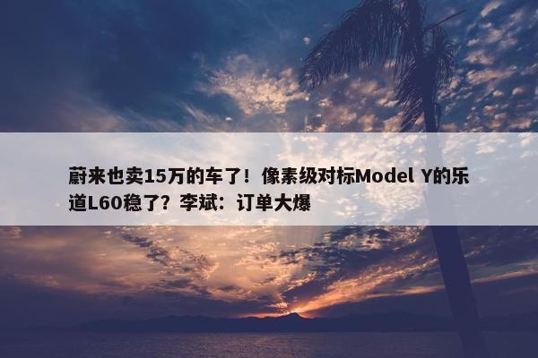 蔚来也卖15万的车了！像素级对标Model Y的乐道L60稳了？李斌：订单大爆