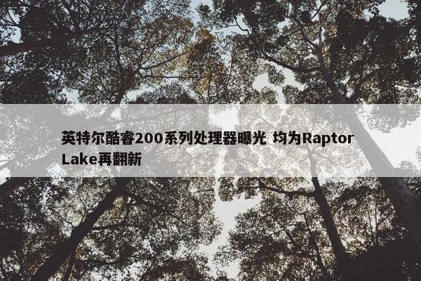 英特尔酷睿200系列处理器曝光 均为Raptor Lake再翻新