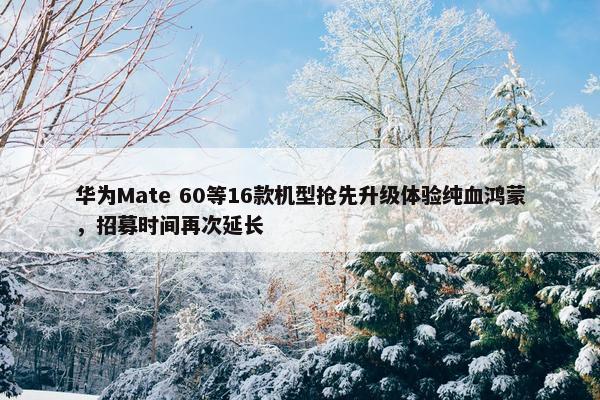 华为Mate 60等16款机型抢先升级体验纯血鸿蒙，招募时间再次延长