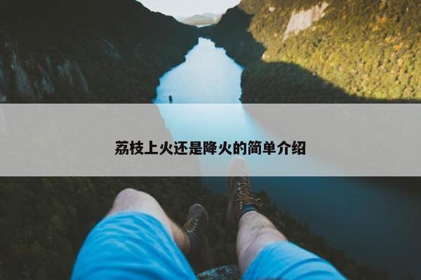 荔枝上火还是降火的简单介绍