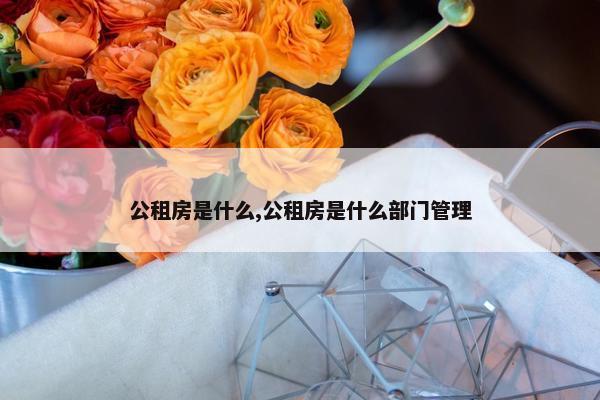 公租房是什么,公租房是什么部门管理