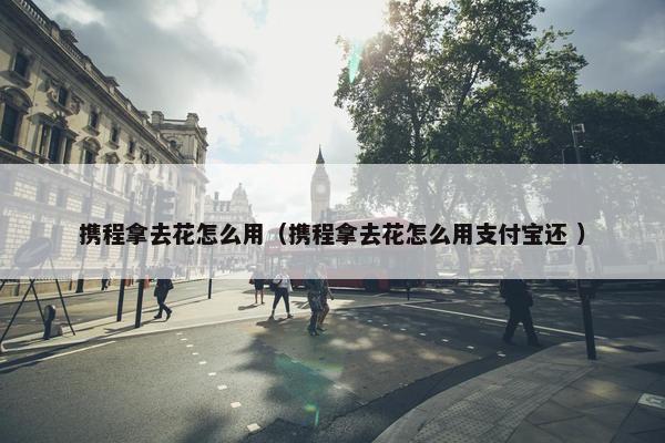 携程拿去花怎么用（携程拿去花怎么用支付宝还 ）