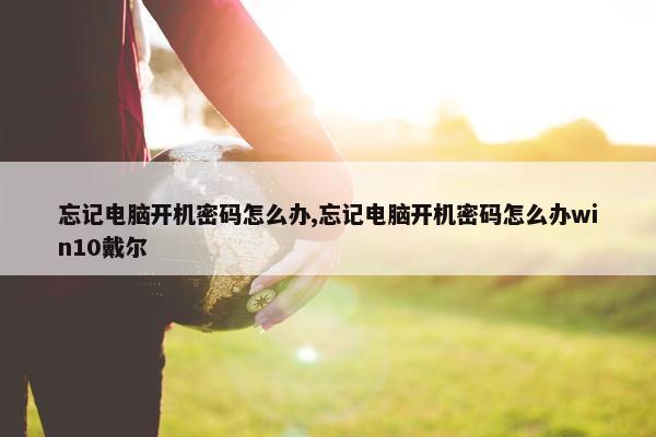 忘记电脑开机密码怎么办,忘记电脑开机密码怎么办win10戴尔