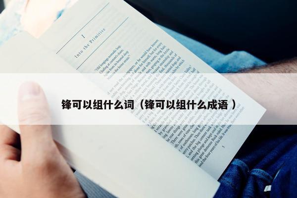 锋可以组什么词（锋可以组什么成语 ）