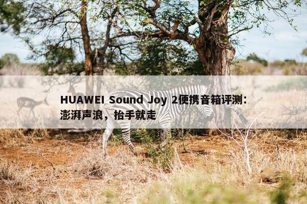 HUAWEI Sound Joy 2便携音箱评测：澎湃声浪，抬手就走