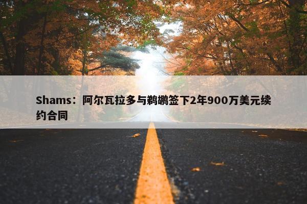 Shams：阿尔瓦拉多与鹈鹕签下2年900万美元续约合同