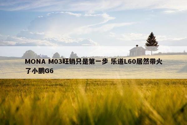 MONA M03旺销只是第一步 乐道L60居然带火了小鹏G6