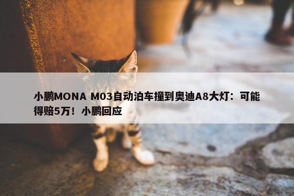 小鹏MONA M03自动泊车撞到奥迪A8大灯：可能得赔5万！小鹏回应