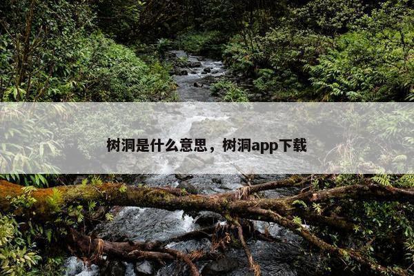 树洞是什么意思，树洞app下载