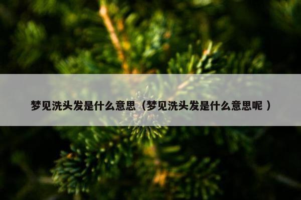 梦见洗头发是什么意思（梦见洗头发是什么意思呢 ）